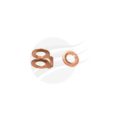 Injector washer Kit Suits DFIV9056