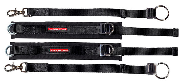 Raceworks Arm Restraint