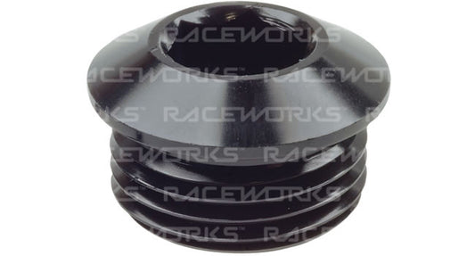 Raceworks AN in Hex O-Ring Plugs