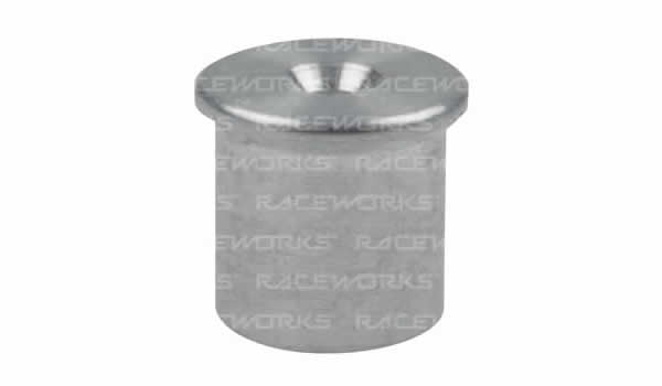Raceworks Oil Restrictors